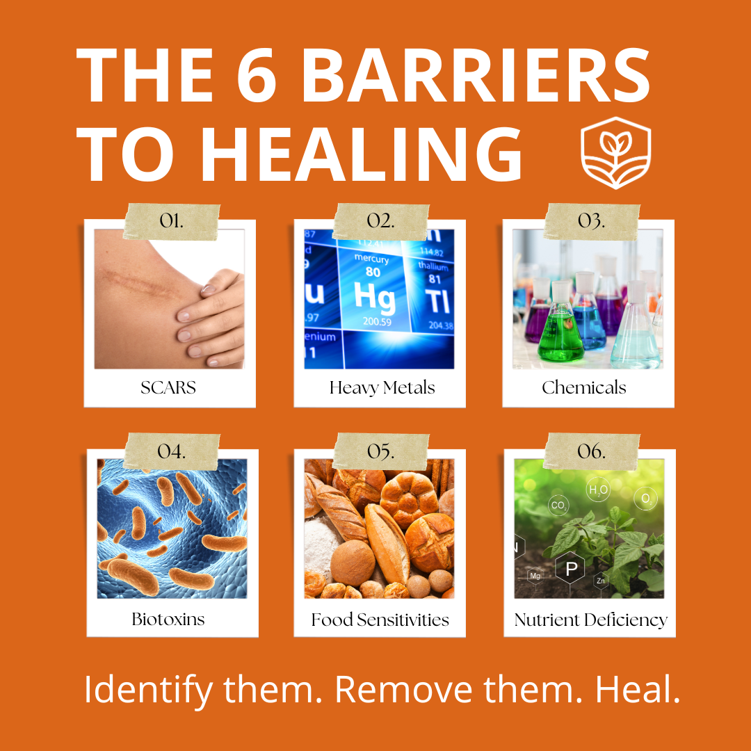 The 6 Barriers To Healing 