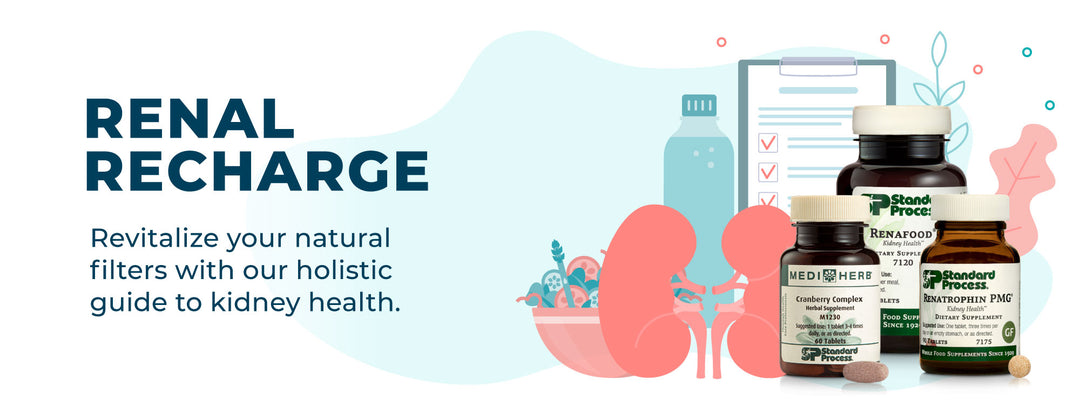 Renal Recharge: Revitalize your natural filters with our holistic guide to kidney health