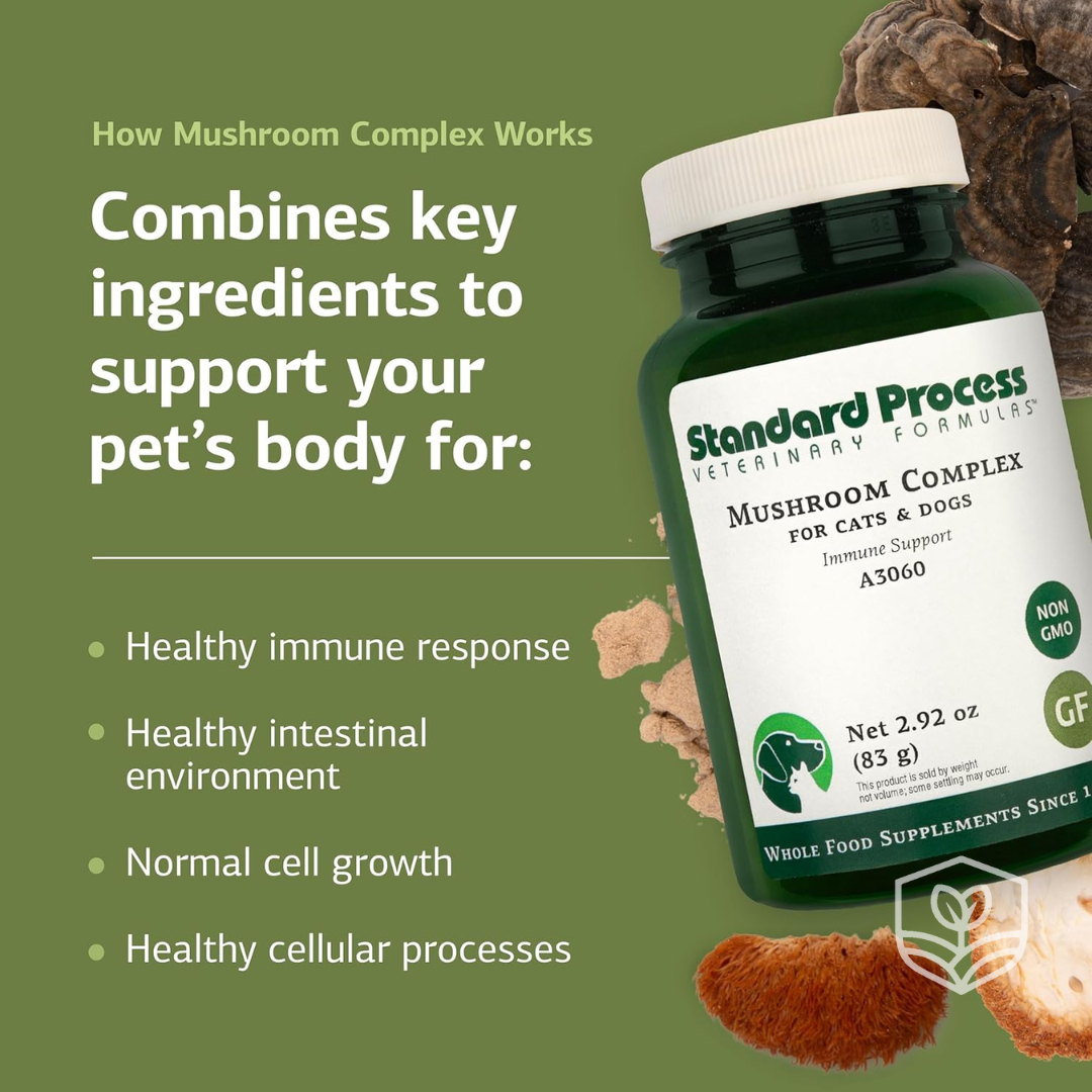 Mushroom Complex by Standard Process