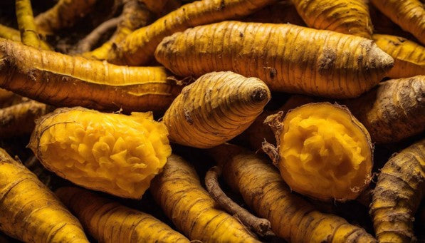 A pile of golden Turmeric rutabaga.