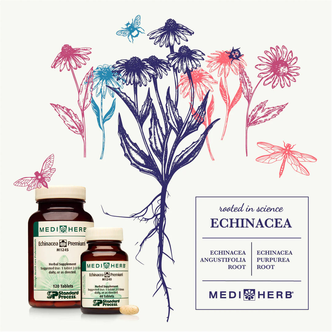 Echinacea Premium - Immune Support