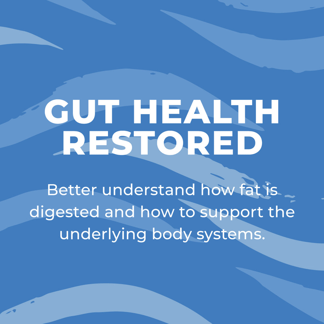 Gut Health Restored  - Fat Digestion