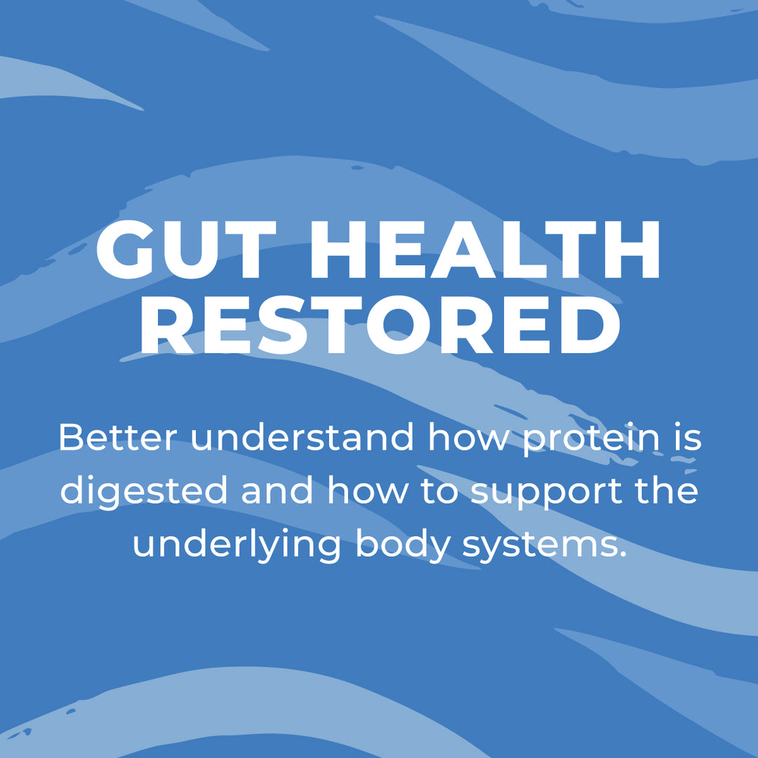 Gut Health Restored - Protein