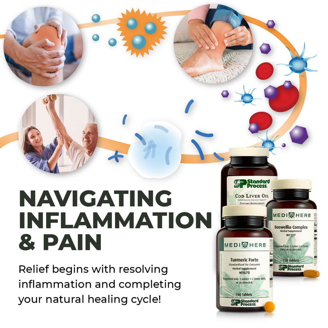 Navigating Inflammation and Pain