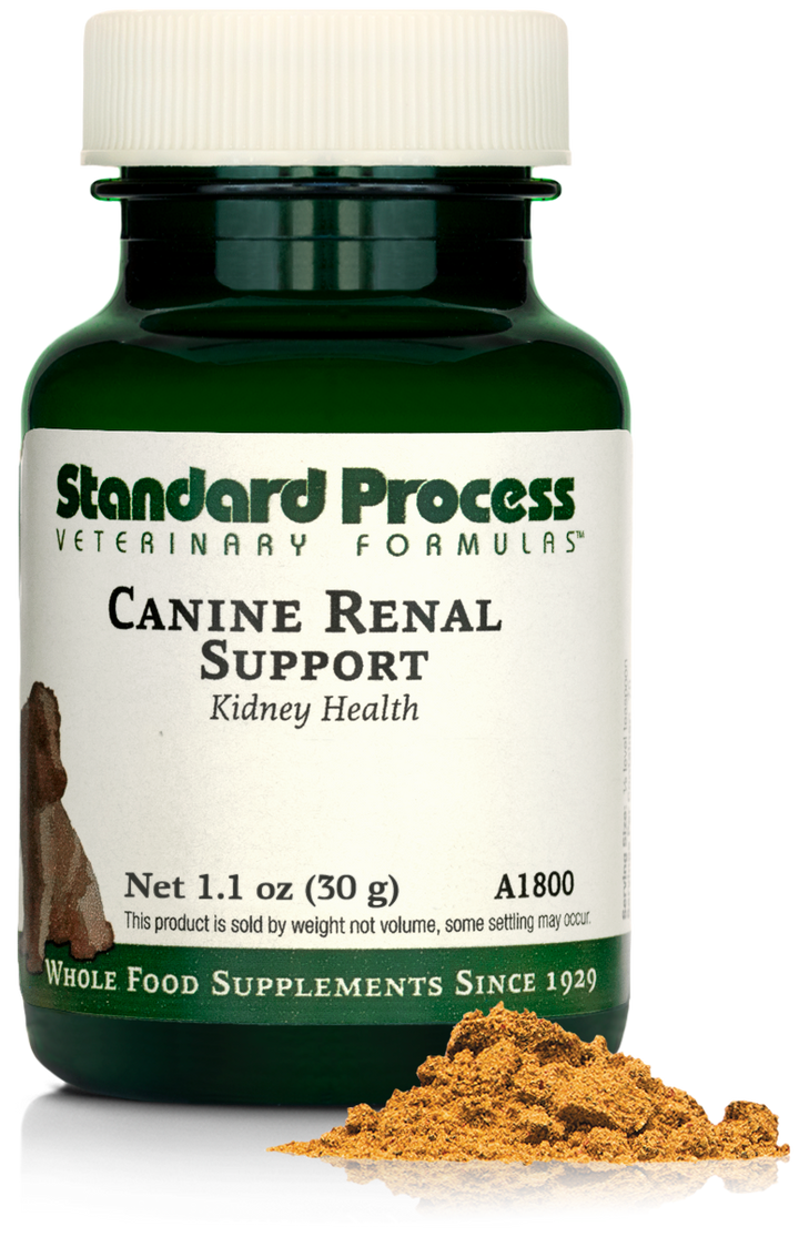 Canine Renal Support, 30 g