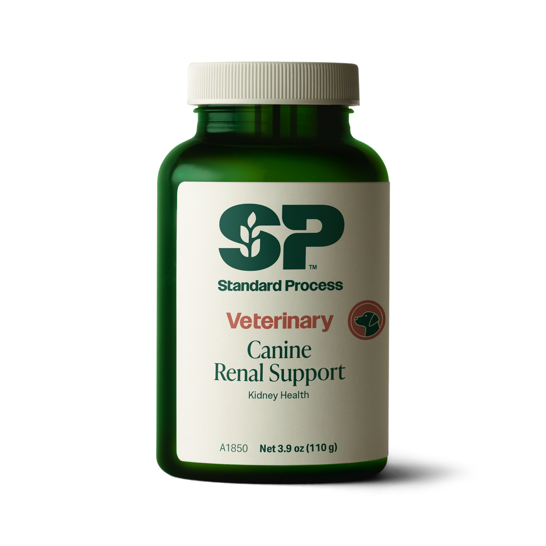 Canine Renal Support, 110 g