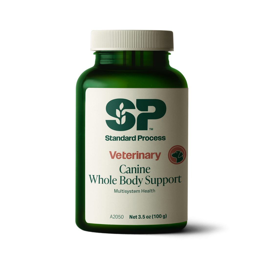 Canine Whole Body Support, 100 g