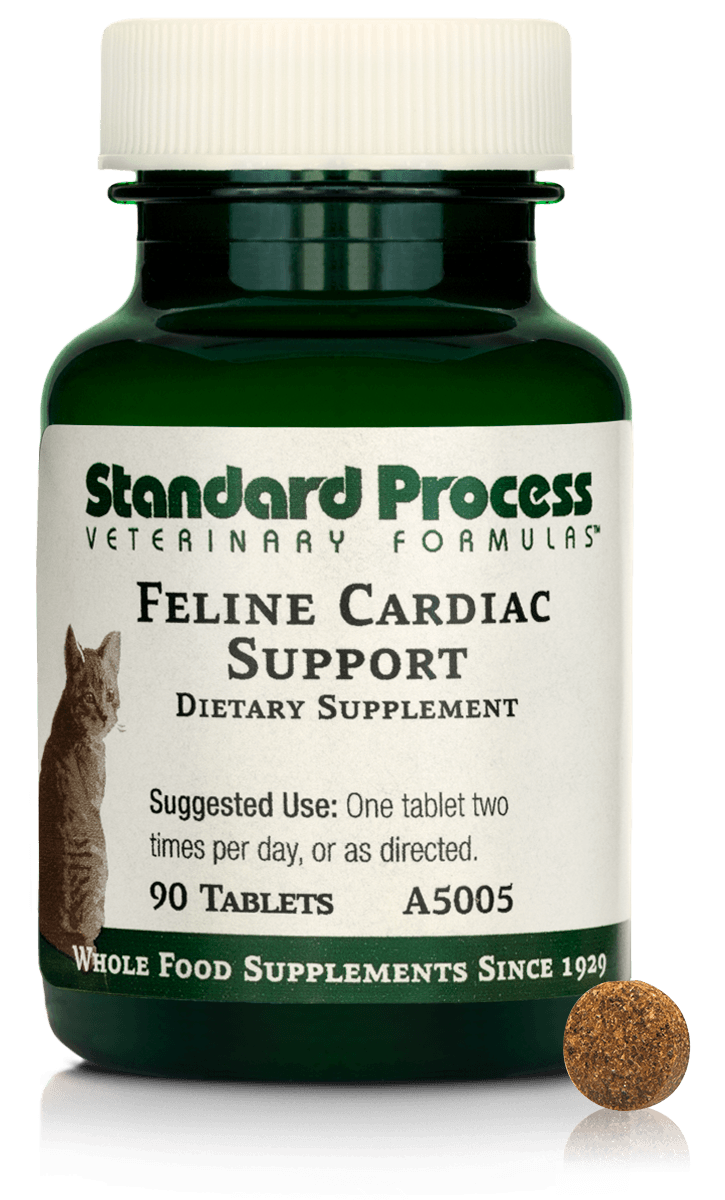 Feline Cardiac Support, 90 Tablets