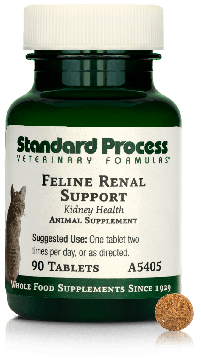 Feline Renal Support, 90 Tablets