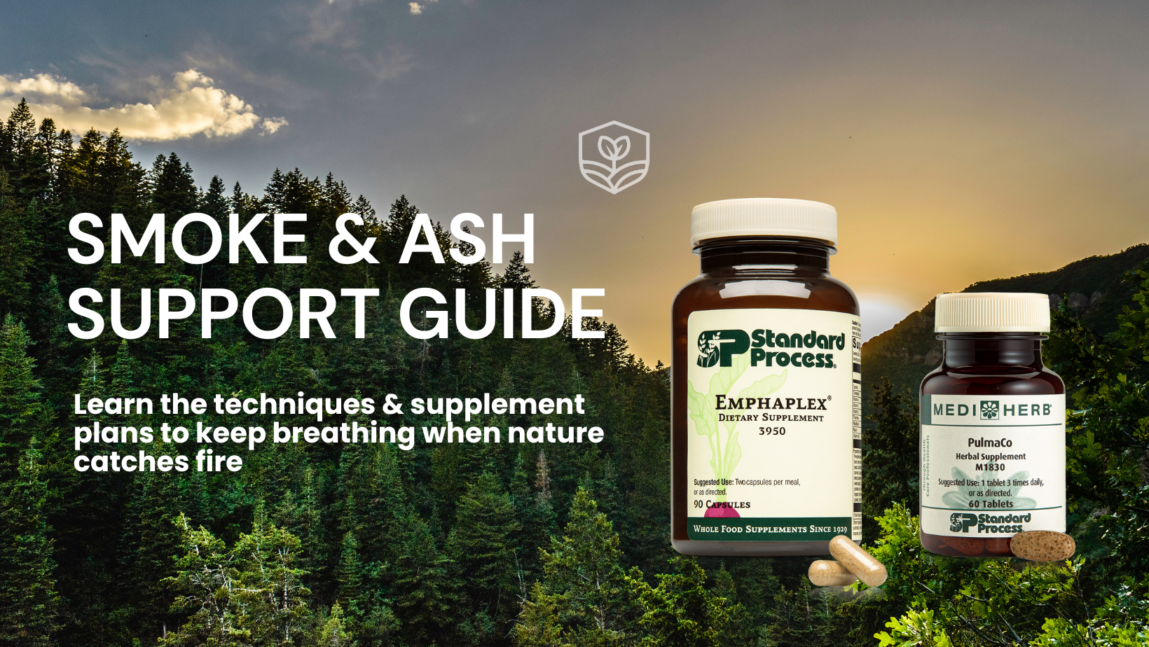 Smoke & Ash Support Guide Banner.png__PID:f4be298c-0585-4bd9-bb79-4e218492f0f3