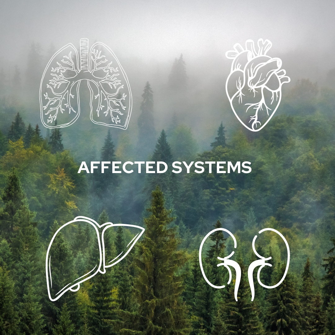 Smoke and Ash Affected Systems.png__PID:eb2c05ad-3c93-4815-984e-843f8461c3fe